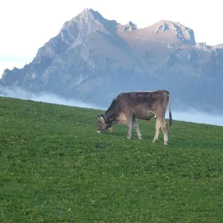 Pfrontner Bergpanorama Pfronten